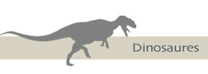 Dinosaures