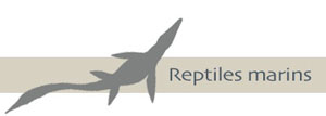 Reptiles marins