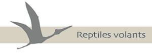 Reptiles volants