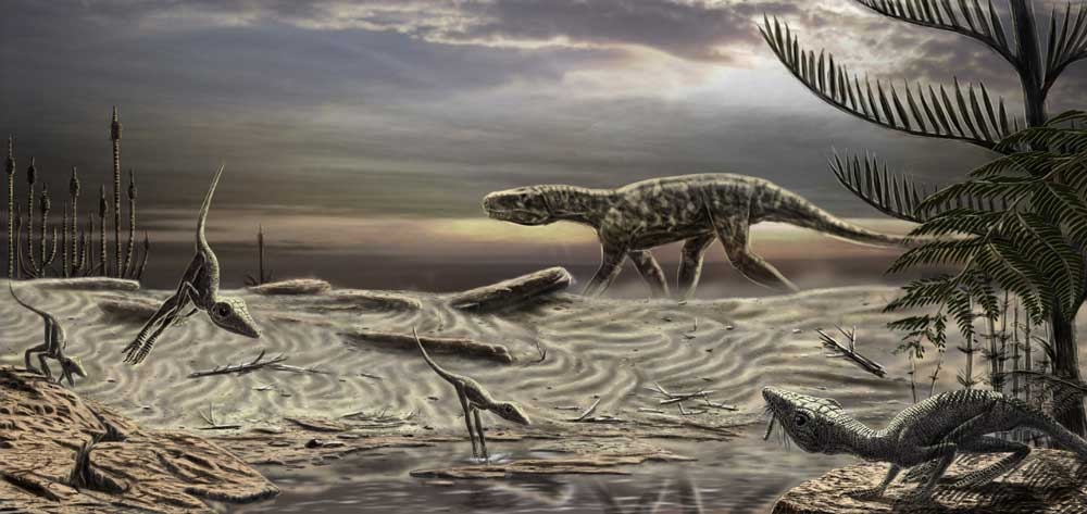 http://www.paleospot.com/illustrations/Scleromochlus.jpg