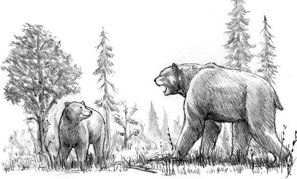 http://www.paleospot.com/illustrations/Short-faced-bear-vs-grizzly.jpg